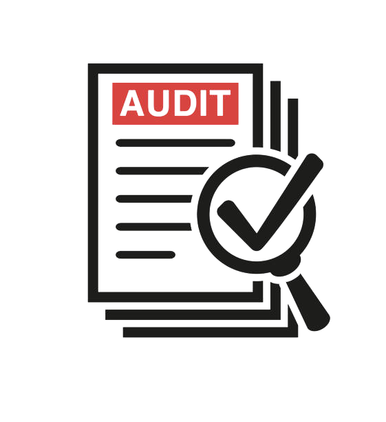 Regular Audits